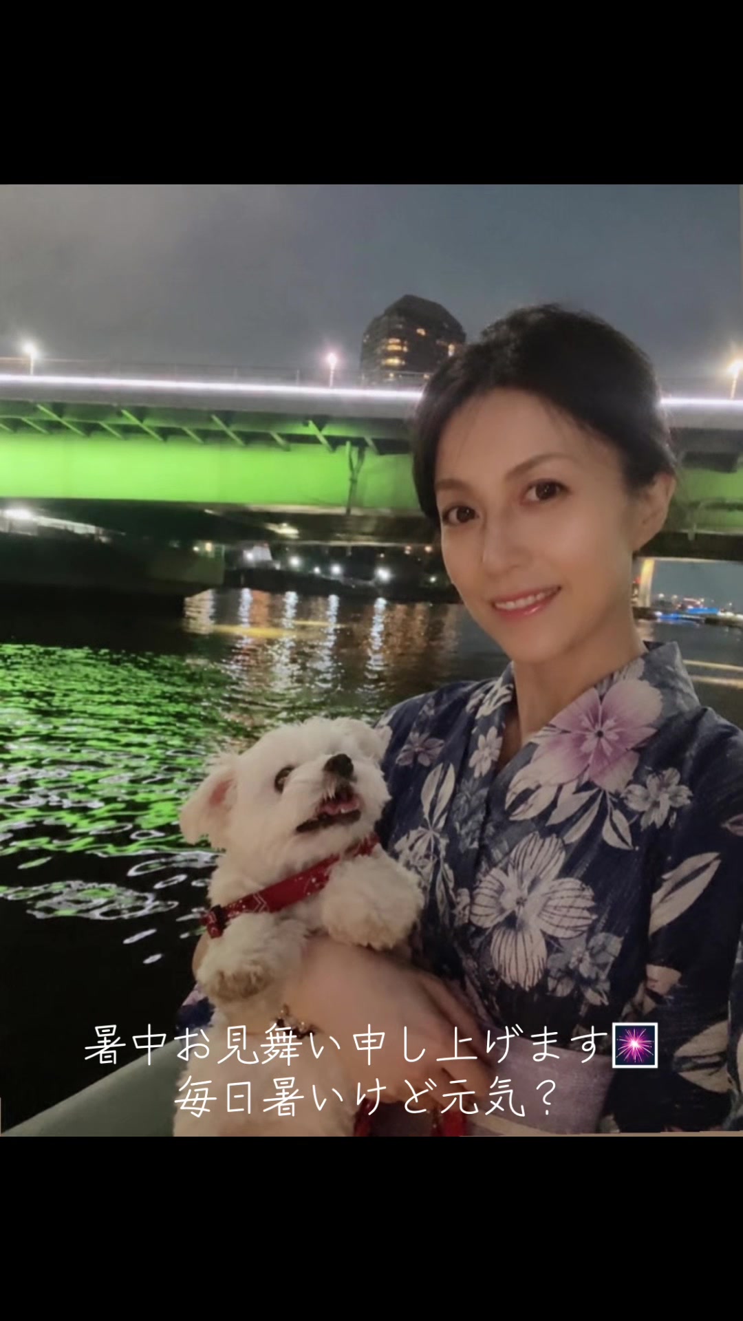 @高原由妃