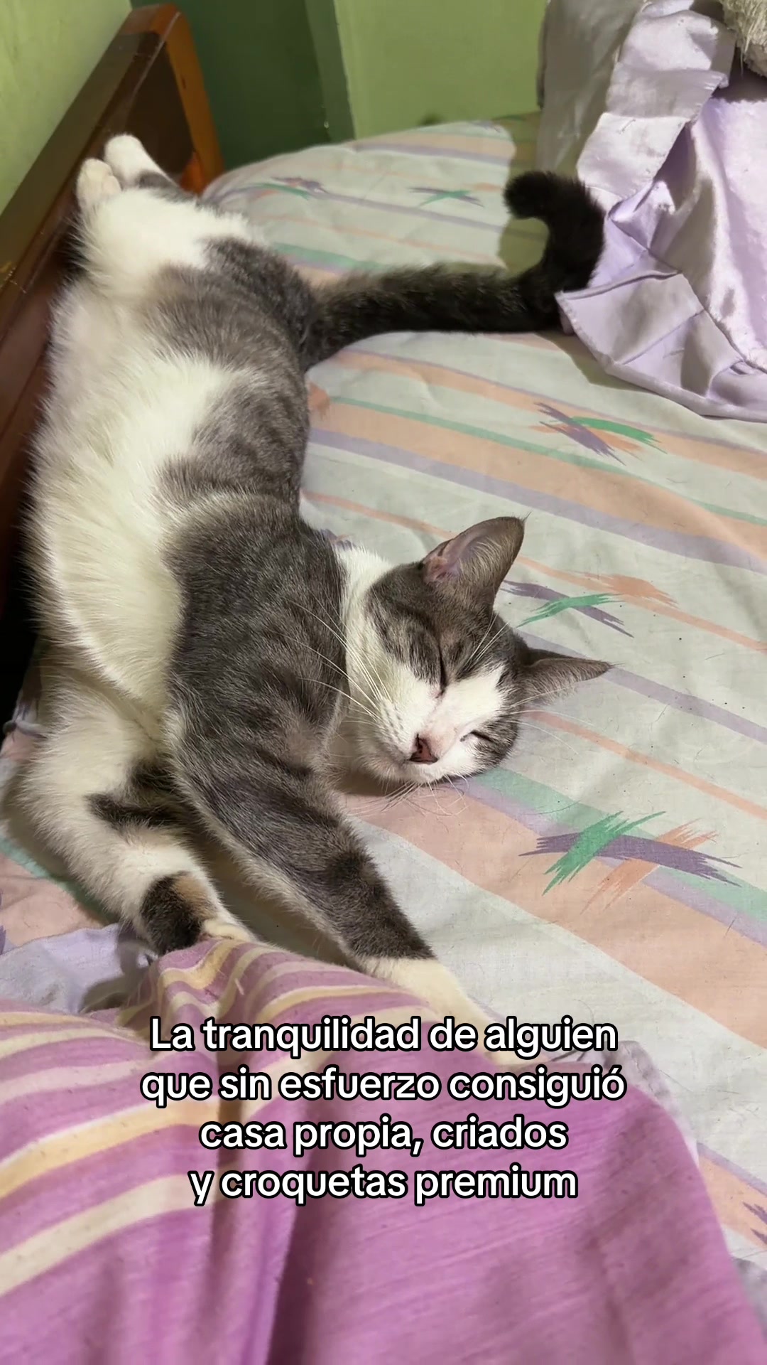 @𝑲𝒂𝒕𝒕𝒚 𝑳𝒖 ✨