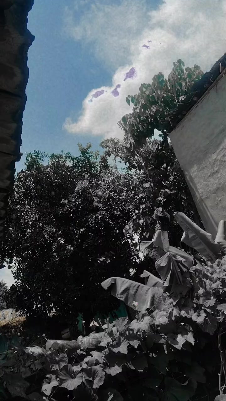 @rajababusharma