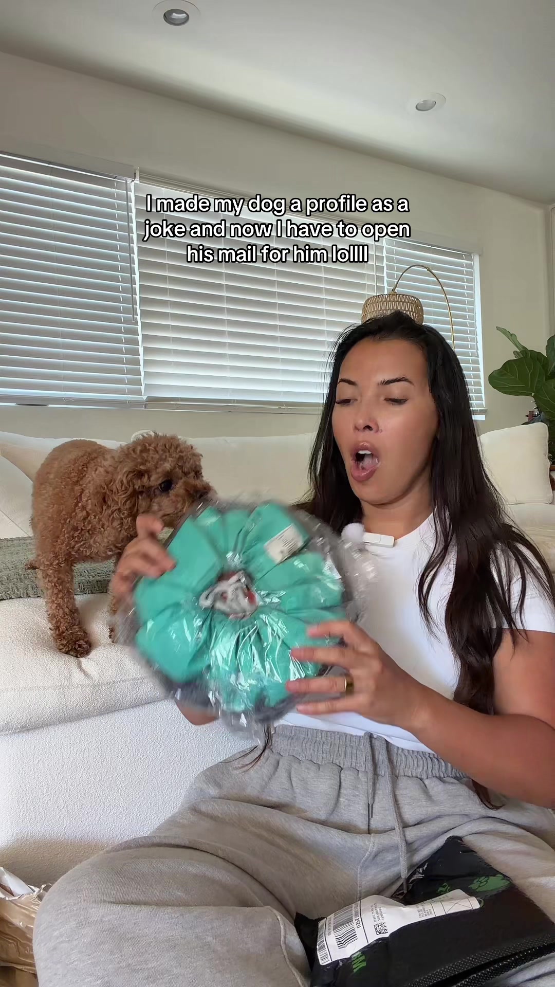@enzoprincethepup