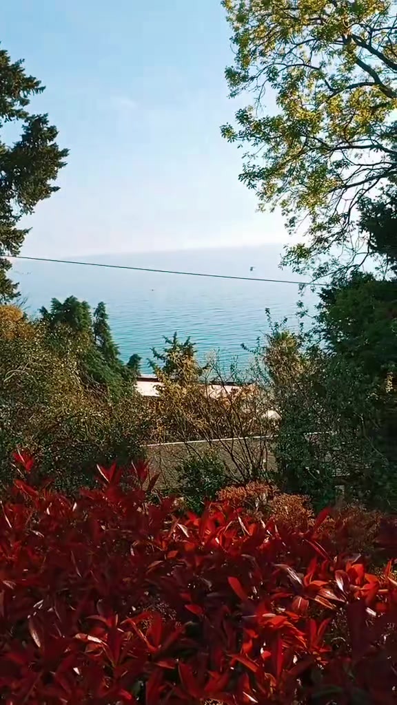 @Марина 🌺🍃