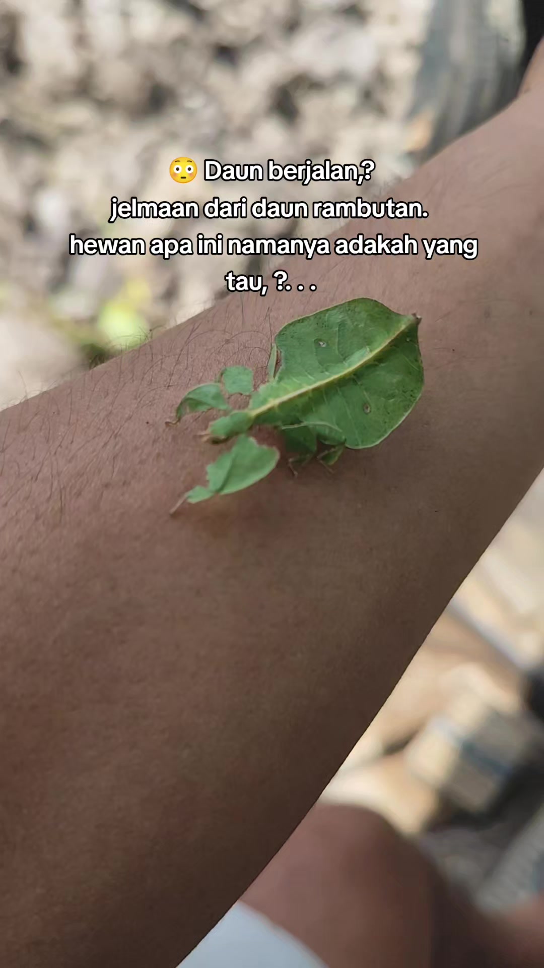 @𝗚𝗮𝗹𝗶𝘄𝗼𝗻𝗴✴️