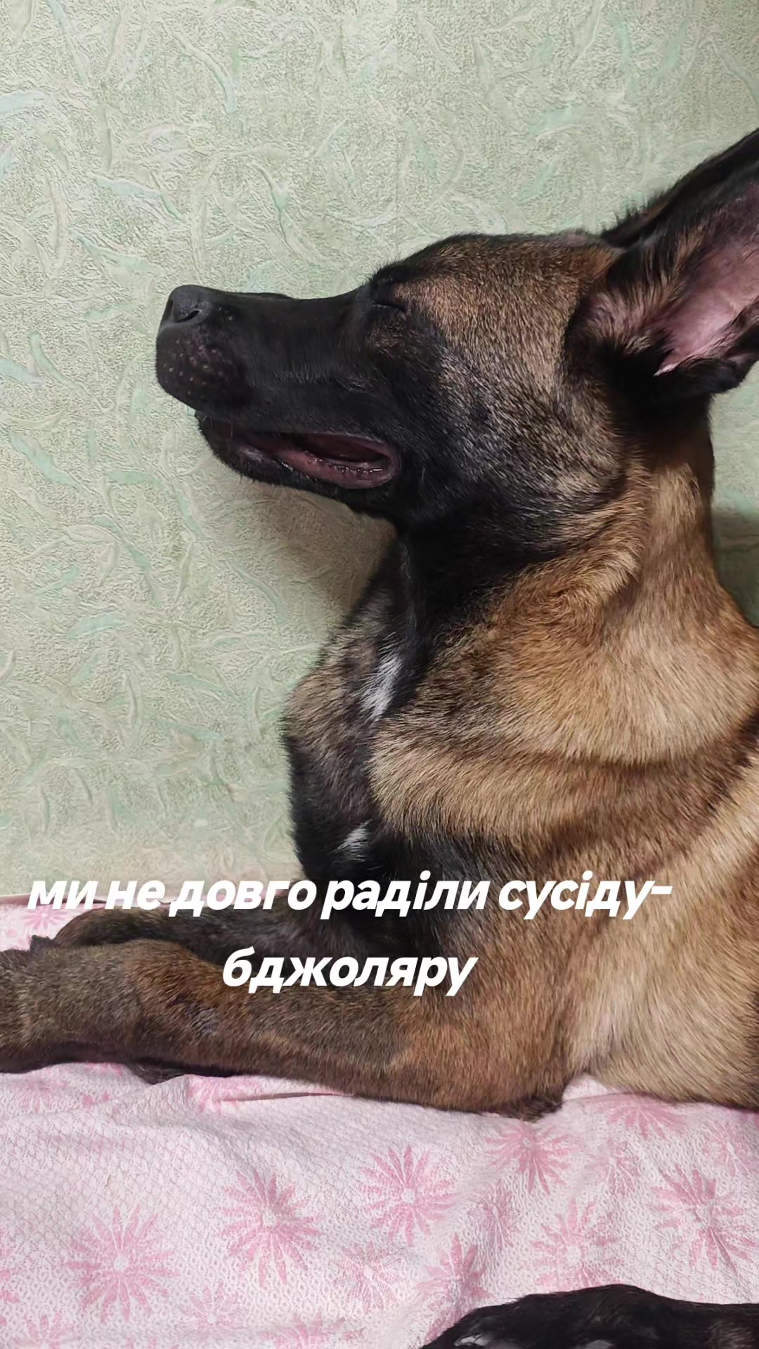 @Vkeksike