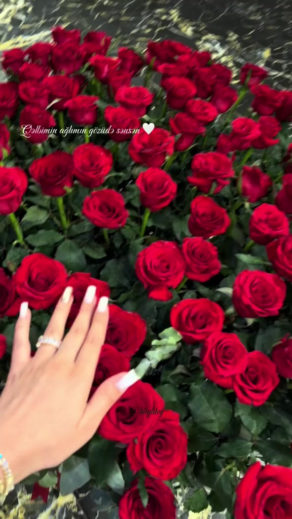 @Turkhann.A🧡