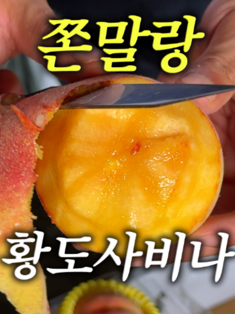@해운대송사장