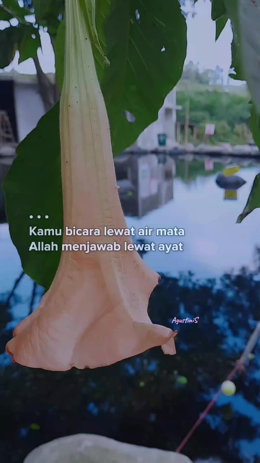 @Agustini Suharita