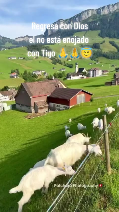@Dios todo lo puede
