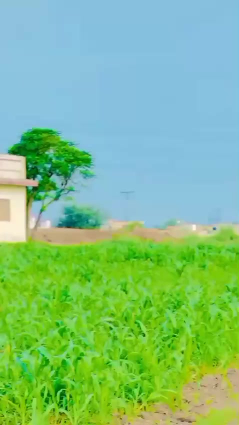 @MALIK ALI