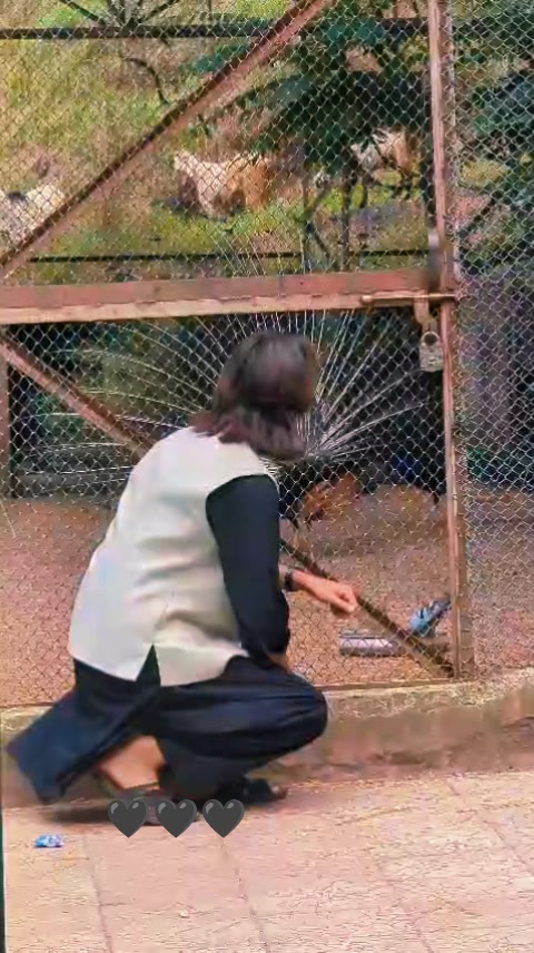 @Syed Anayat Bukhari