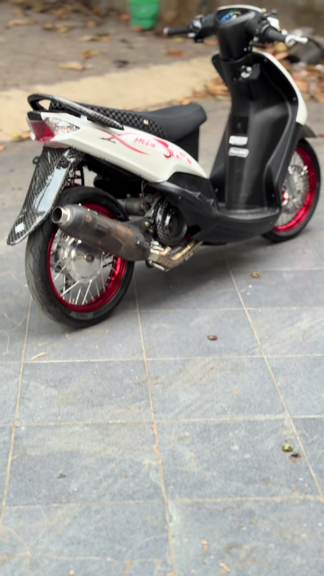 @peevhorifando'