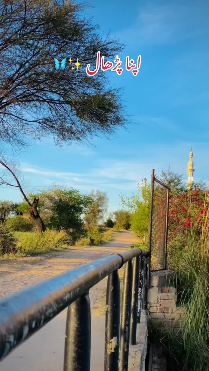 @پڑھال آلے ۔🦋🥀