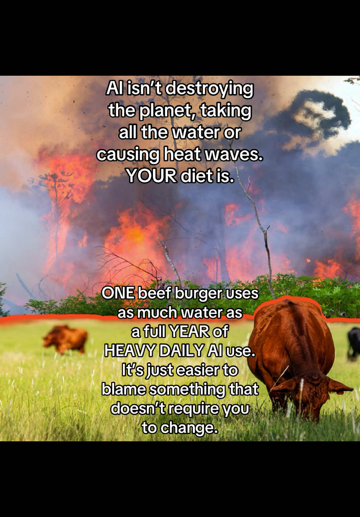 @animalrightsdaily