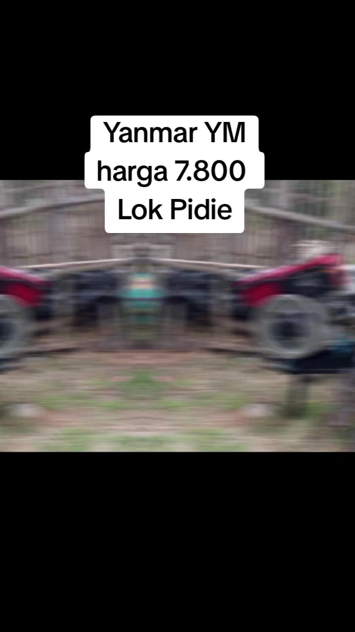 @WANDA DIESEL