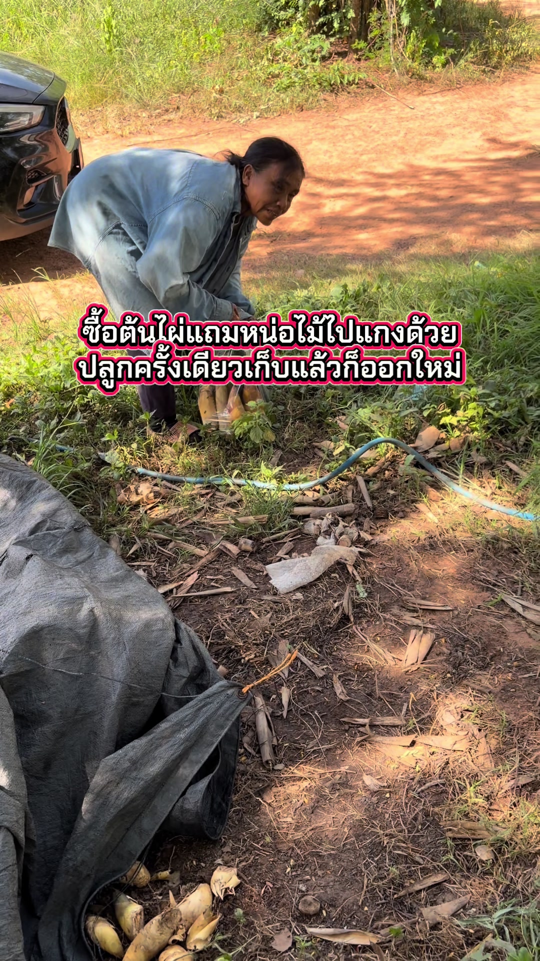 @นัดดาชอป