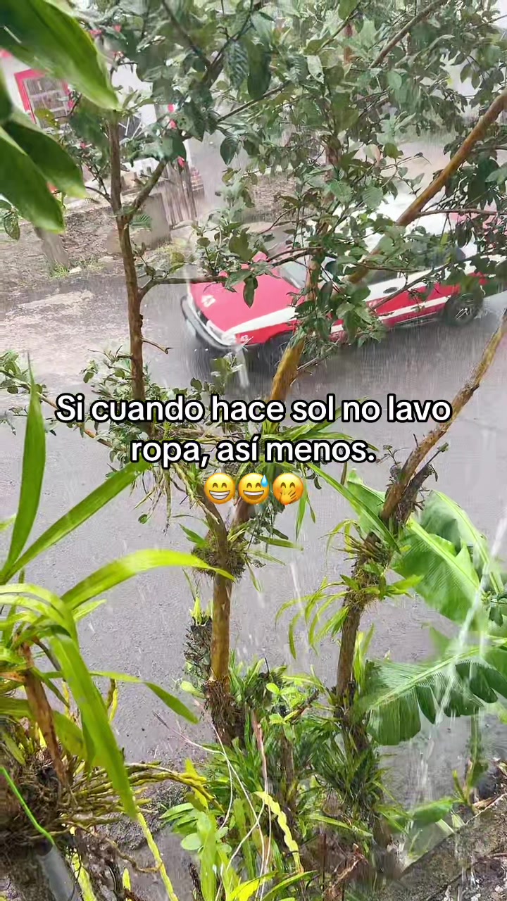 @K I K E C A I C E R O S