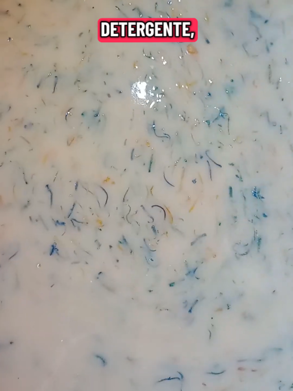 @SOLANGE RIBEIRO OFICIAL