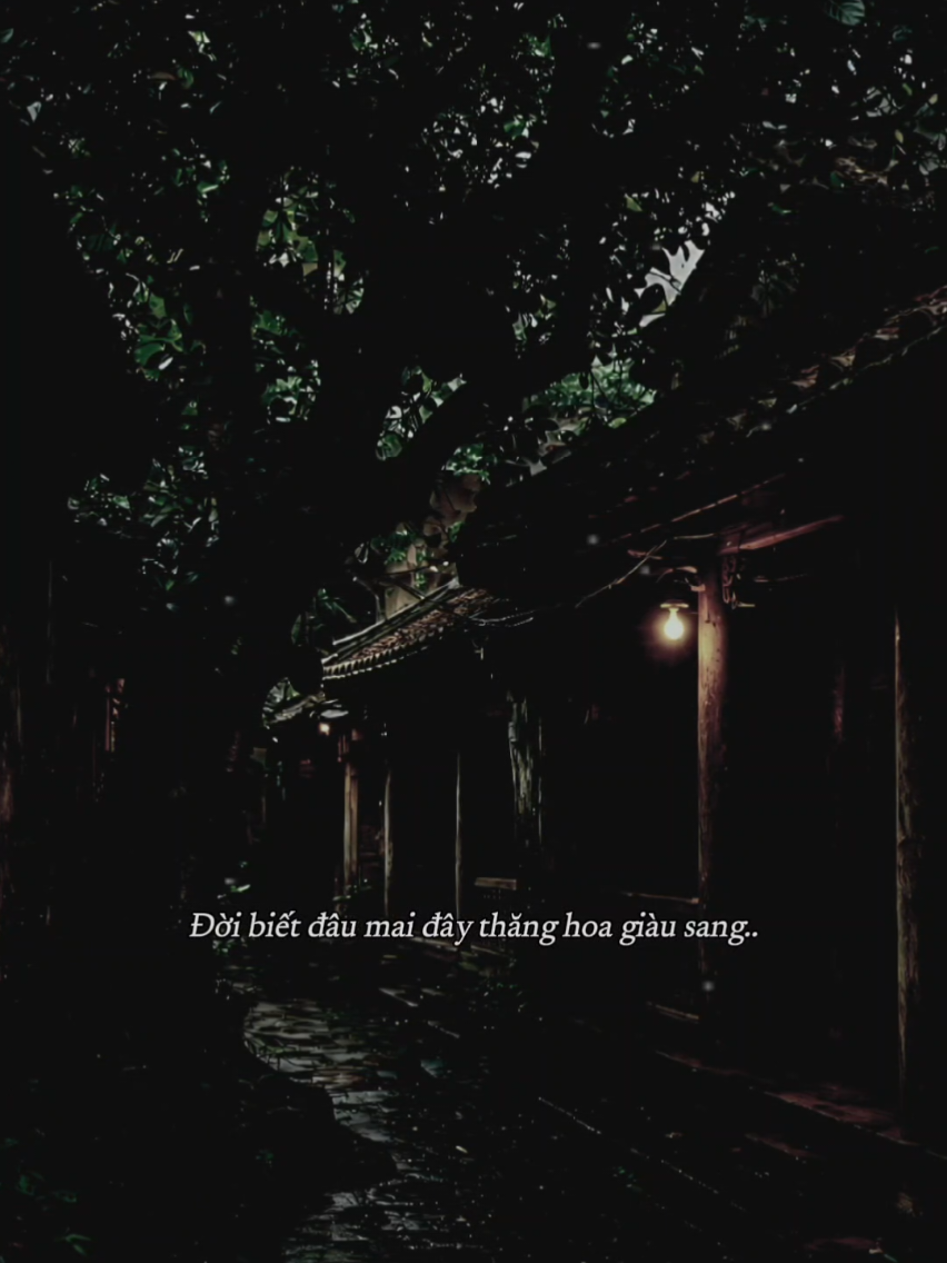 @𝐓𝐫ạ𝐦𝐌𝐮𝐬𝐢𝐜🎧