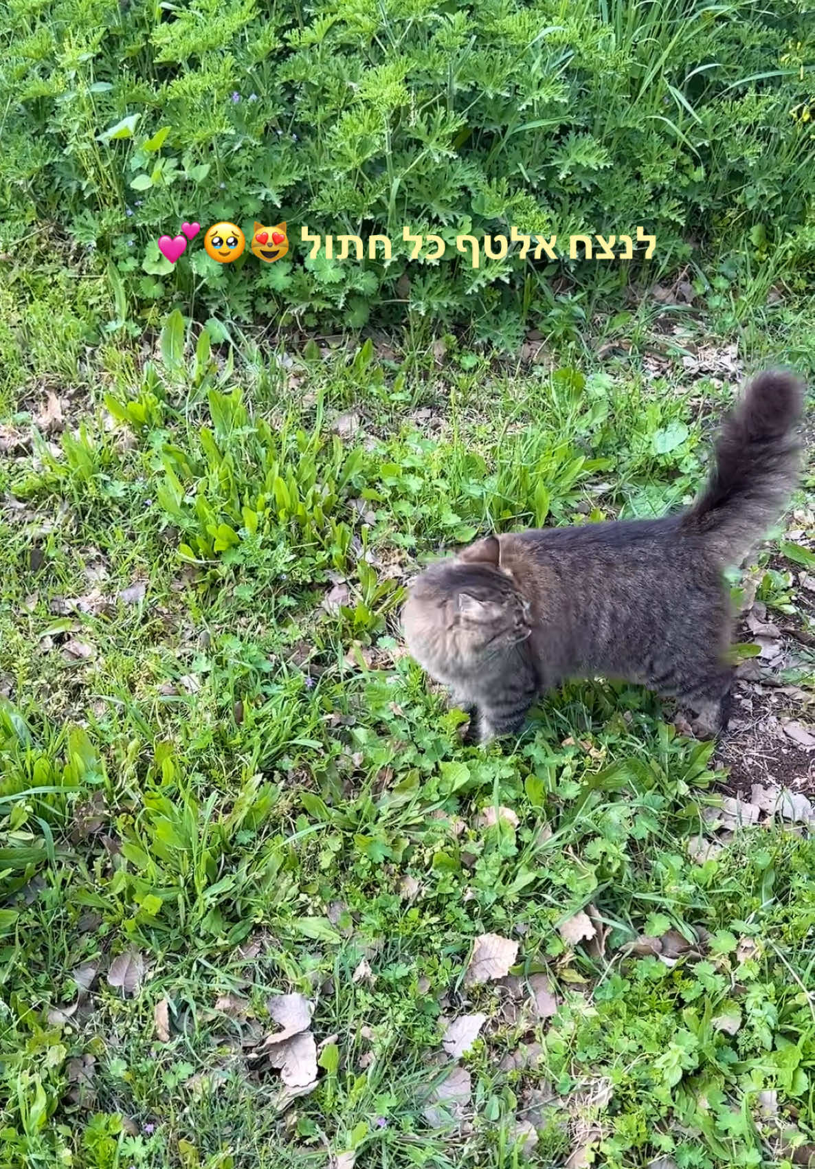 @Naama 😽