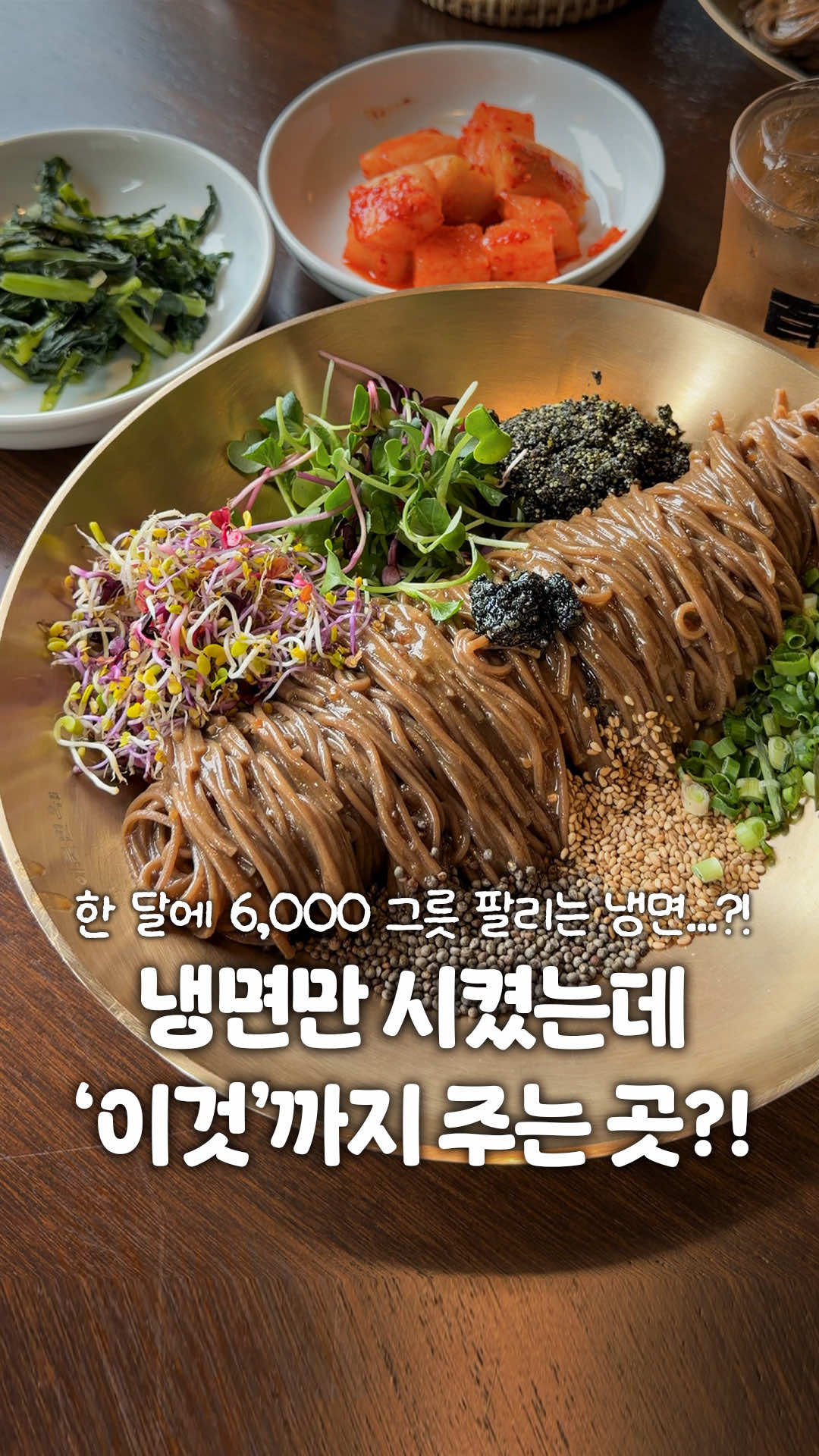 @일산갈고양