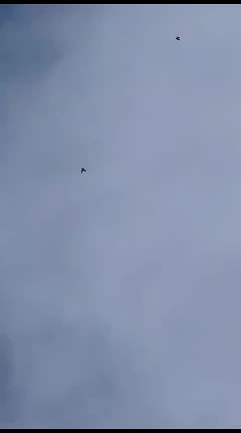 @d&ouml;nek_g&uuml;vercin_