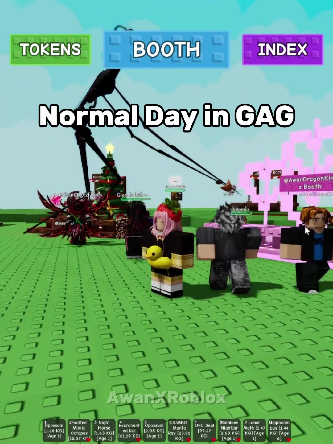 @AwanXRoblox