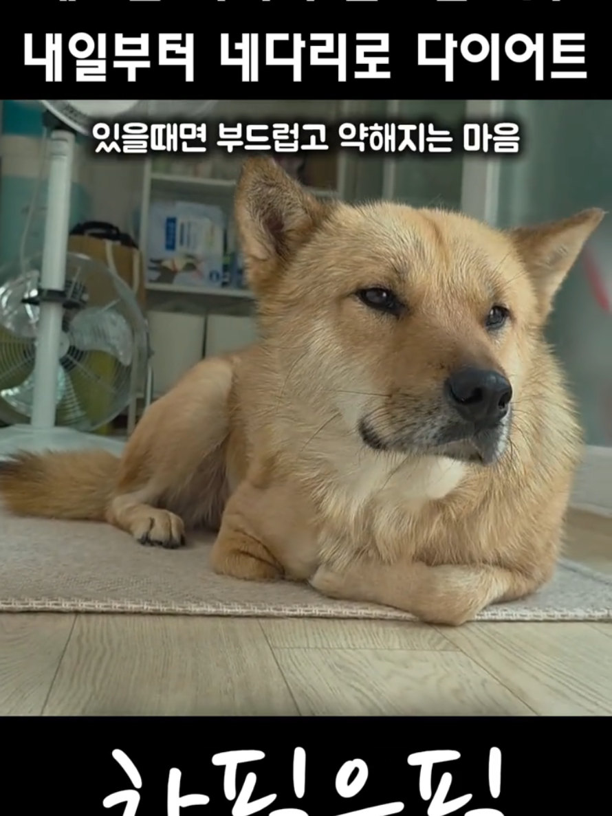 @하필유필