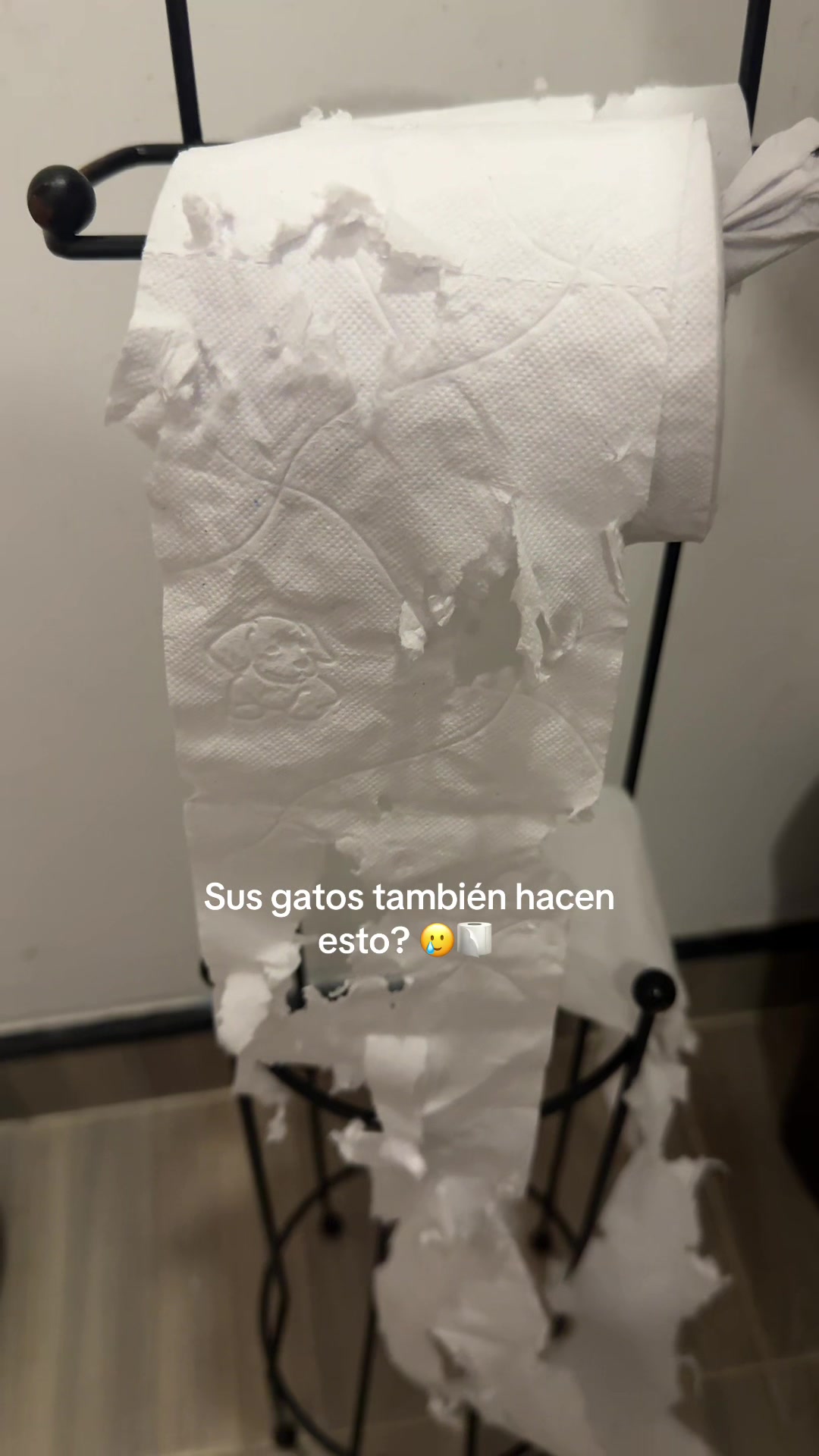 @Val 🦢🤍