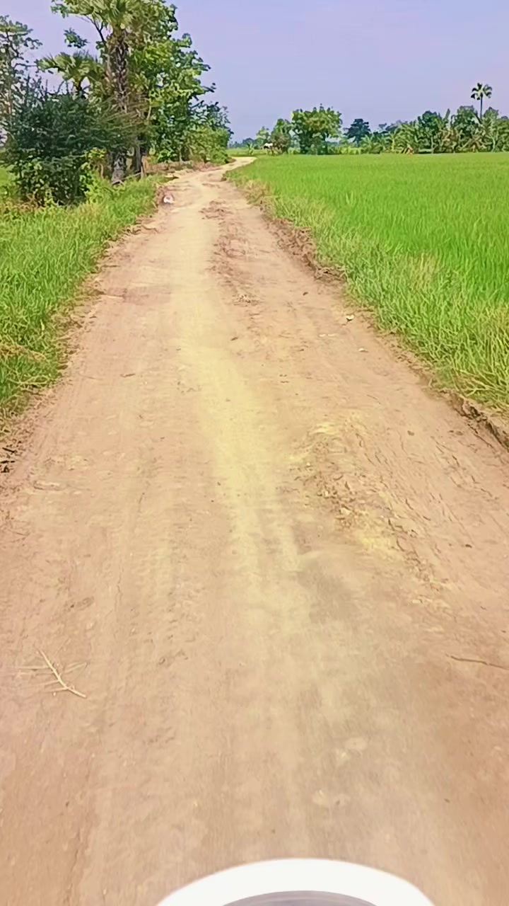@โฐ๐๐ข๐ธ๐ฅ๐ข๐ฏโฐ