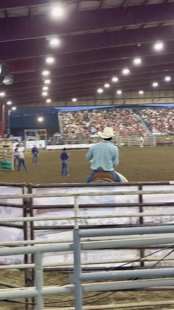 @horse 🐎