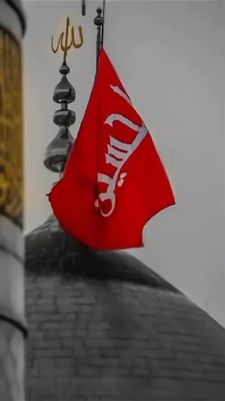 @🕳️Sayad 🕳️ Zadiiiii 🕳️