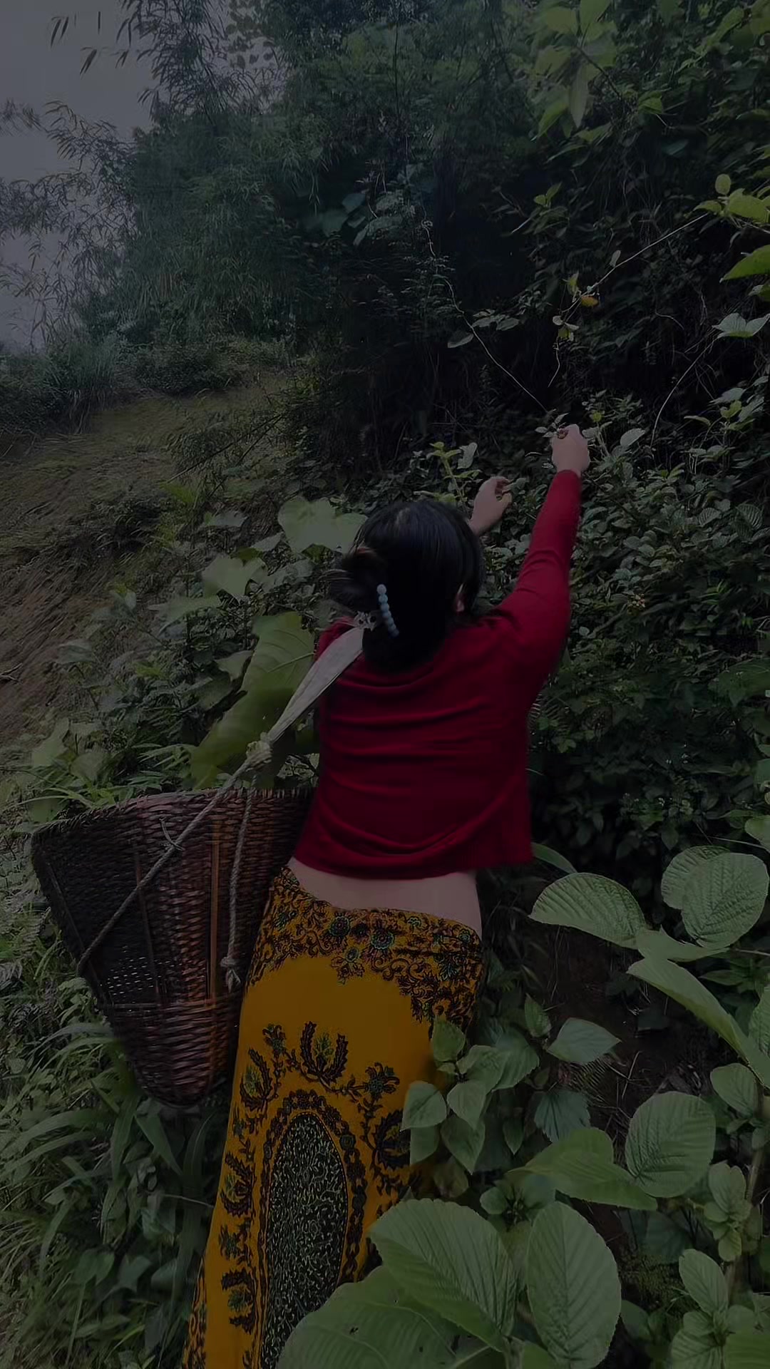 @𝓐