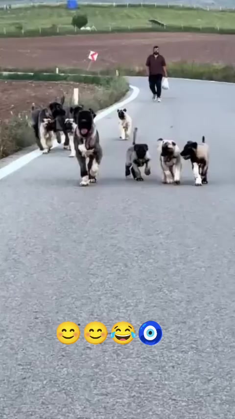@yılmaz Çetinkaya