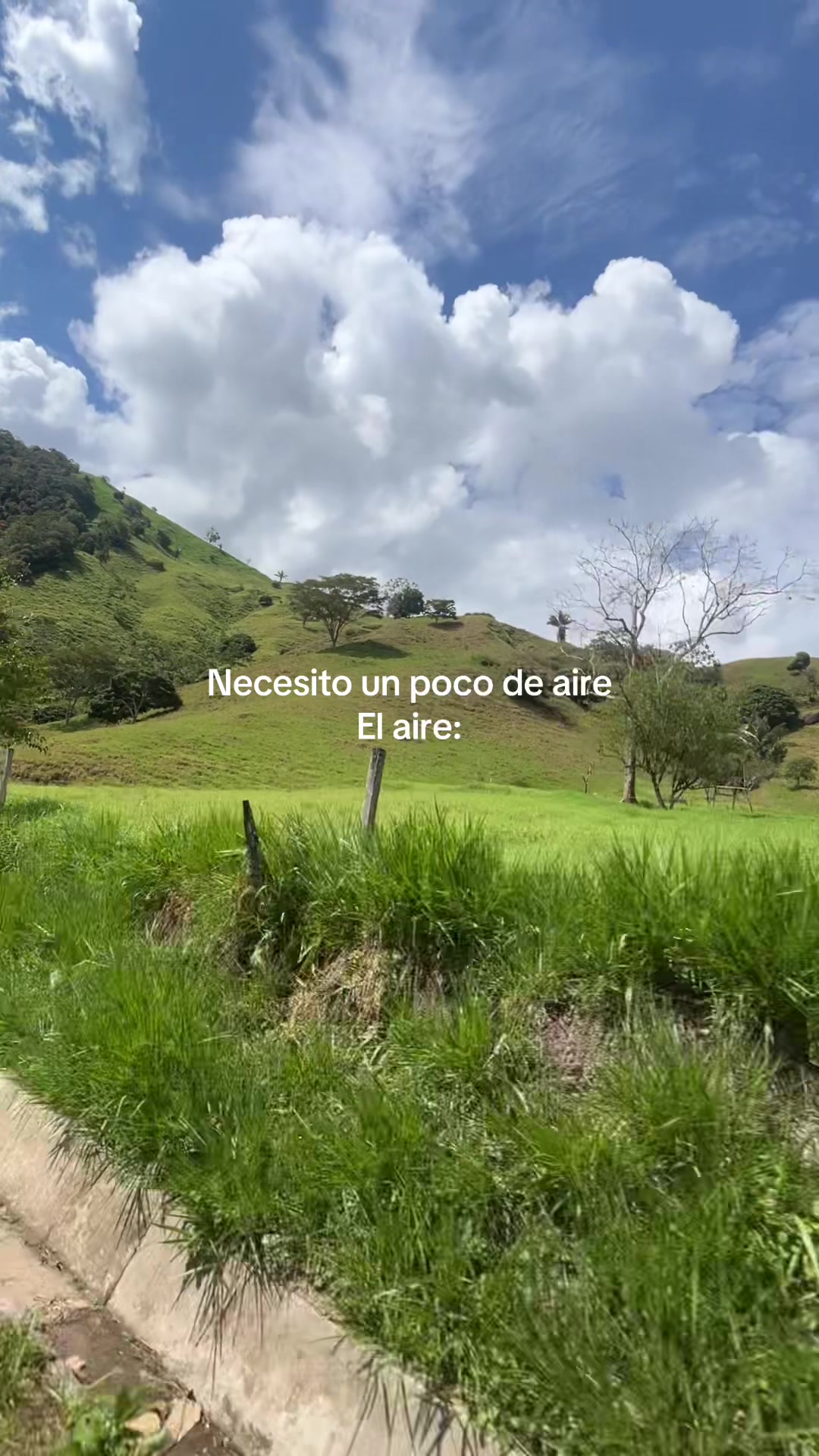 @Nicol Anali 🦋