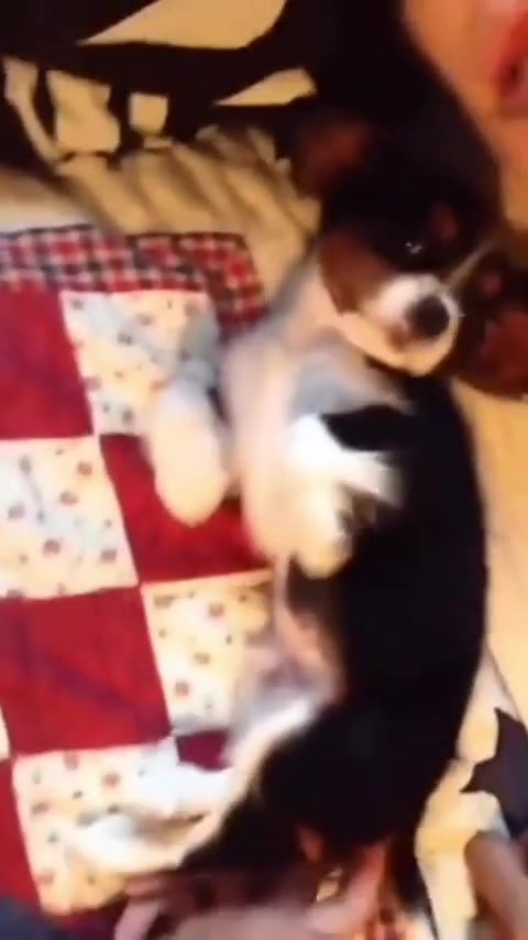 @lil_xedm