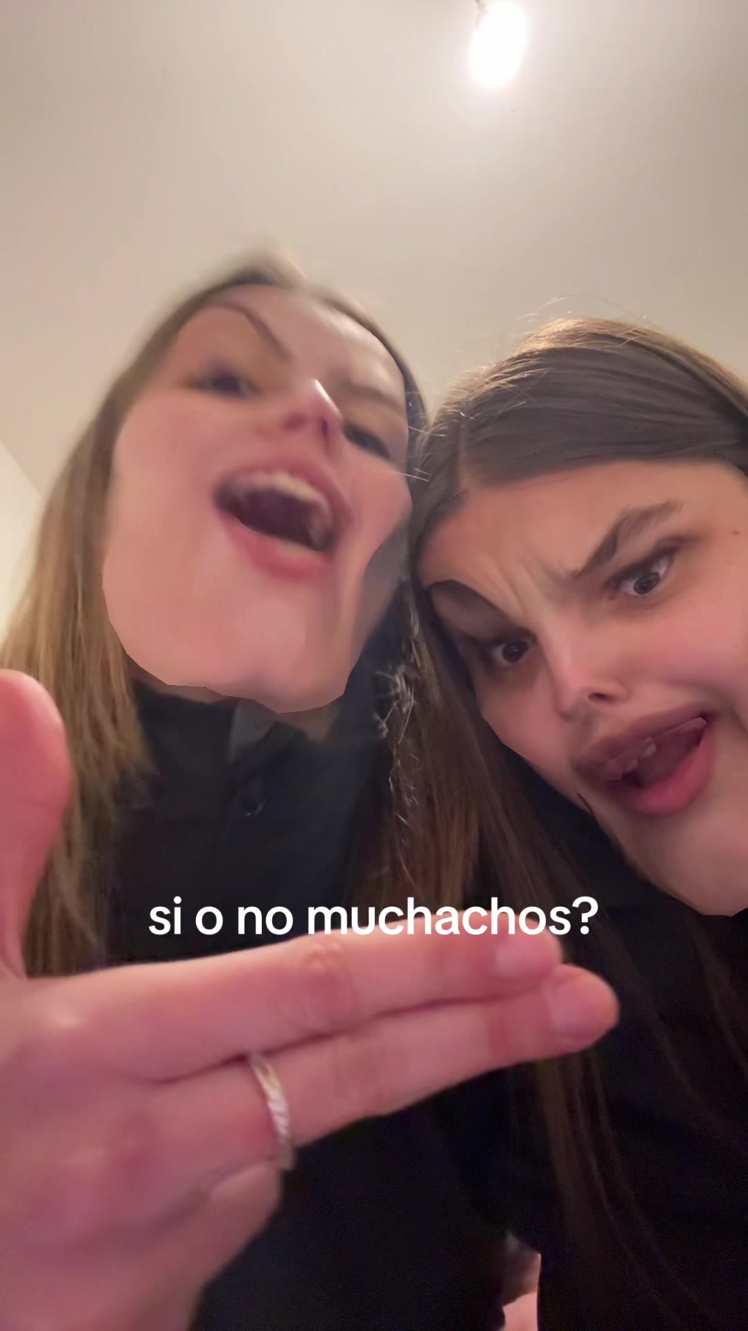 @pizzabella🦥