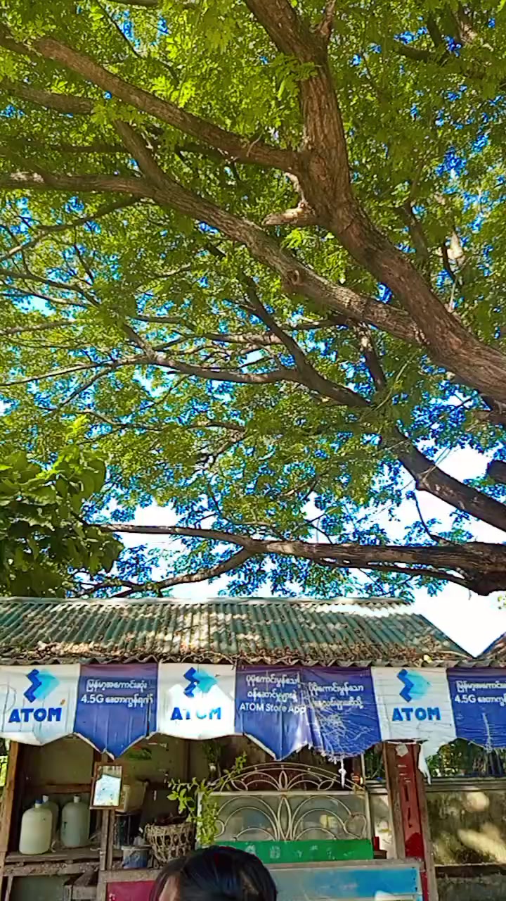 @muyar