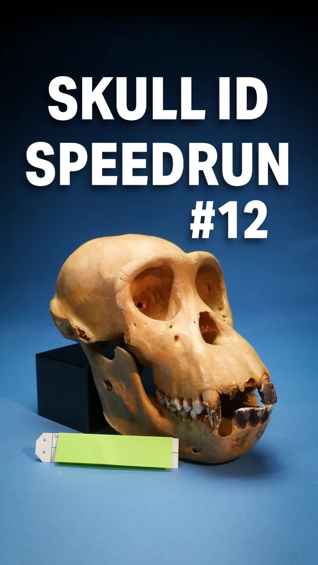 @KunHaHa