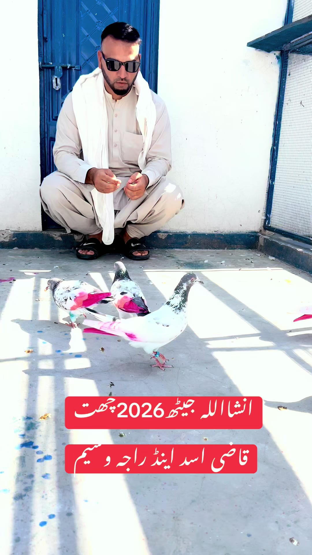 @Asadkazi
