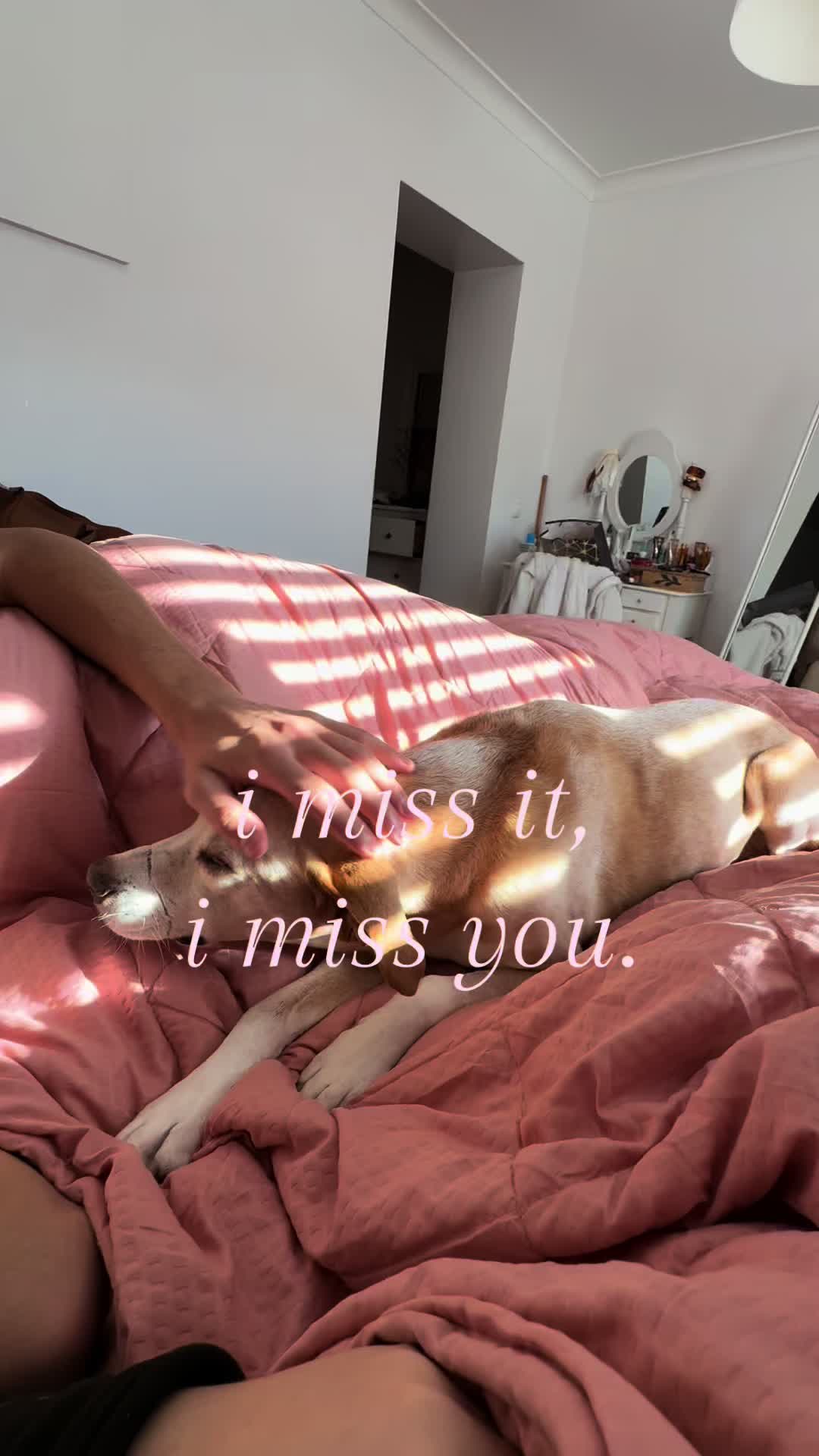 @clarinha (taylor’s version)