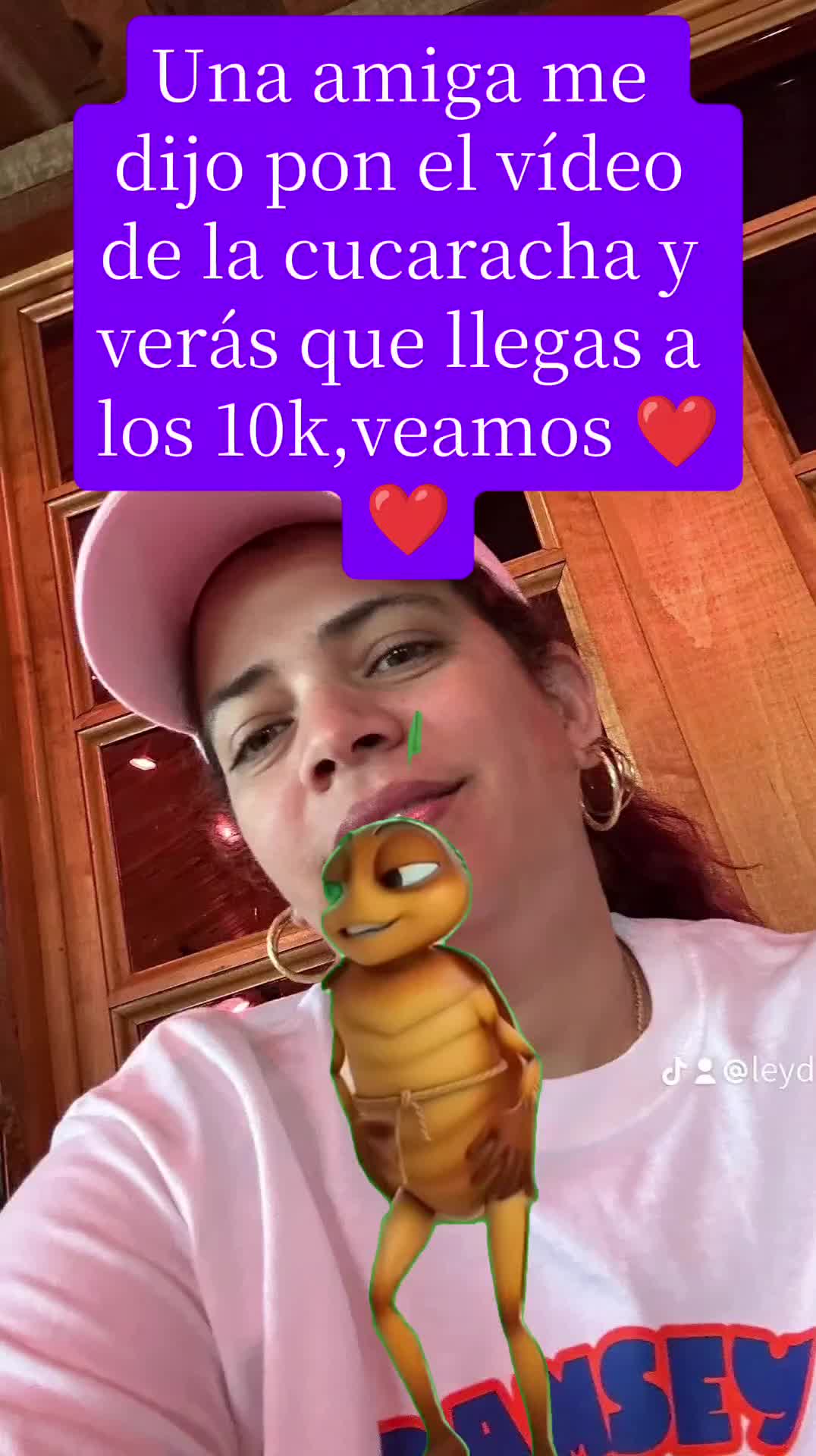 @leydisfinds