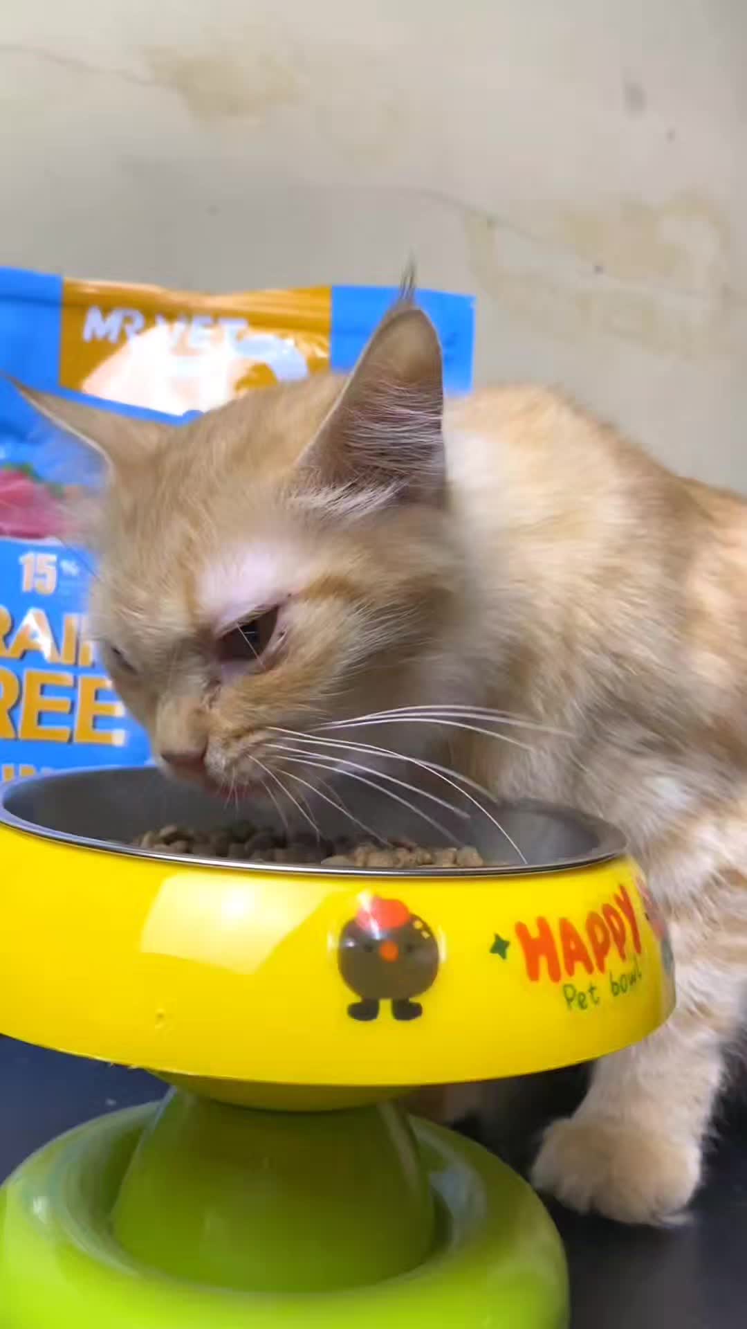 @TamaGo Pet