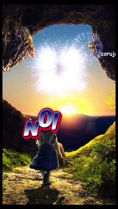 @nelsinha_