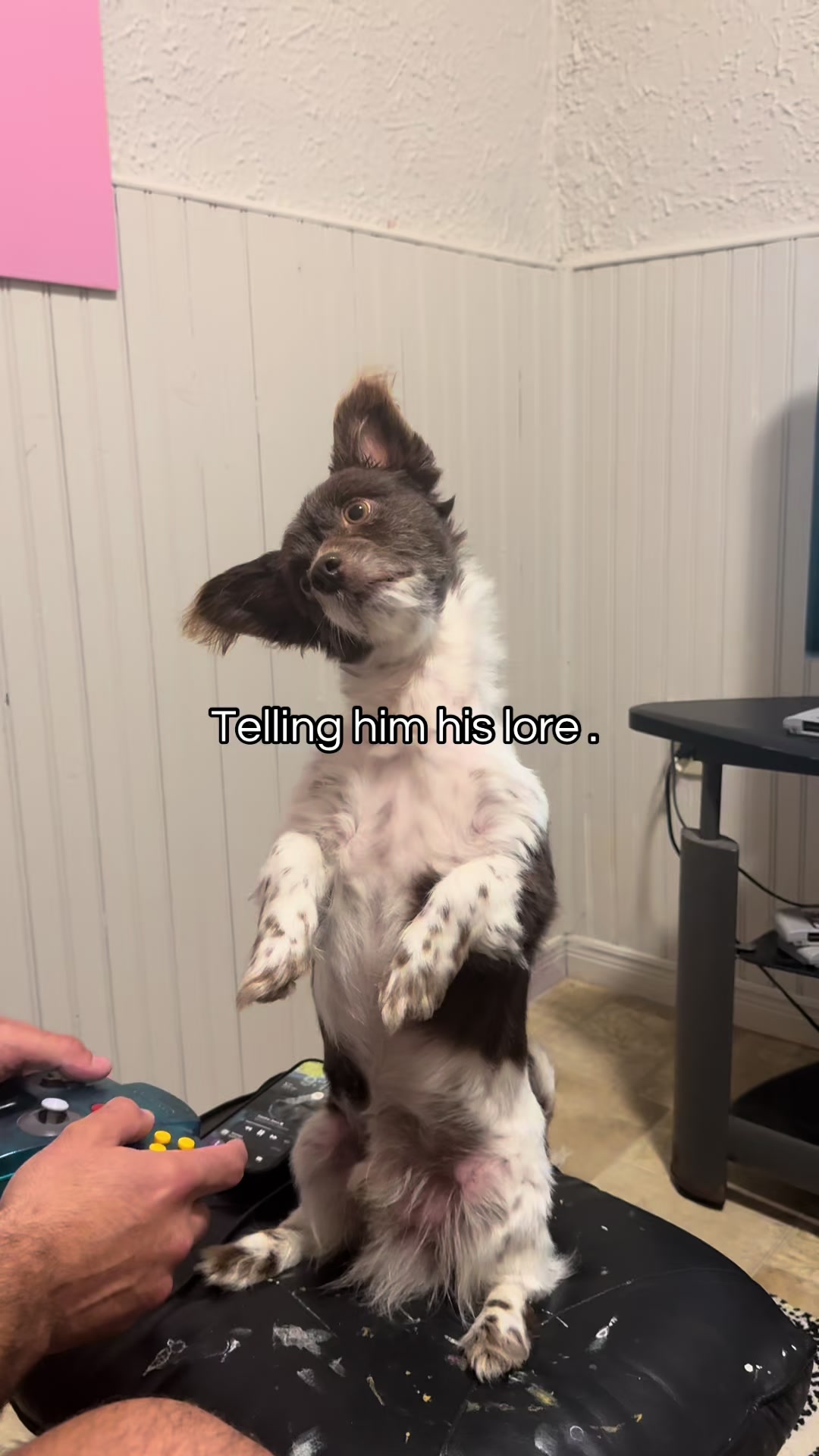 @jessthemess