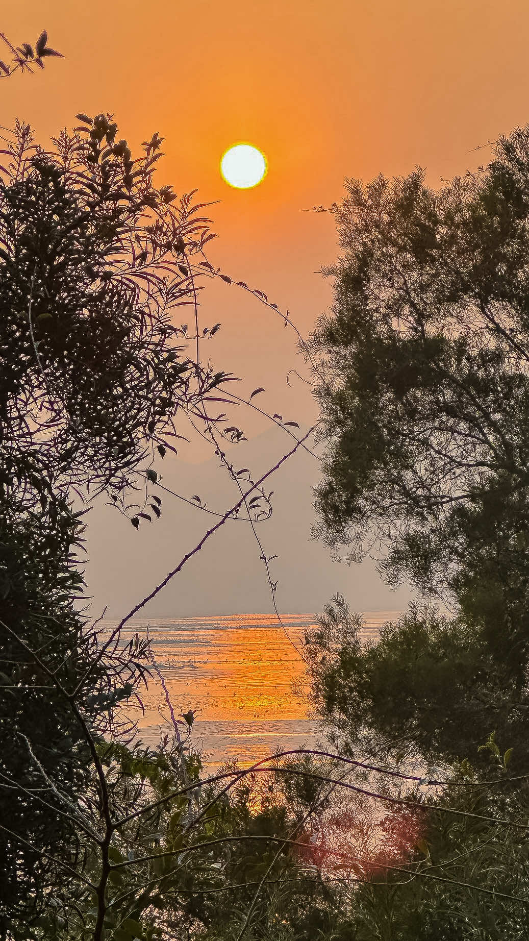 @𝑻𝒂̂𝒏 𝑻𝒉𝒊