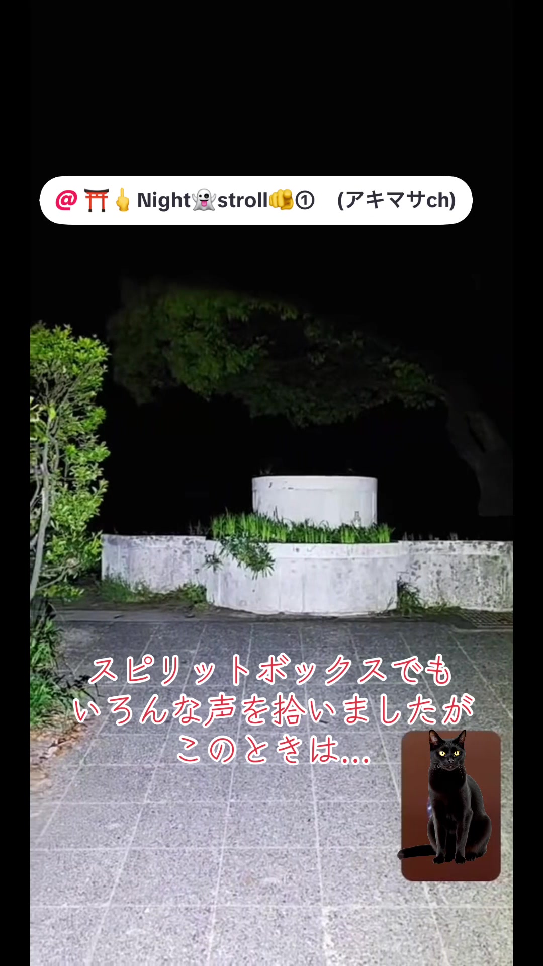 @そら。まめ。👻⛩✨🦁🏴☠️