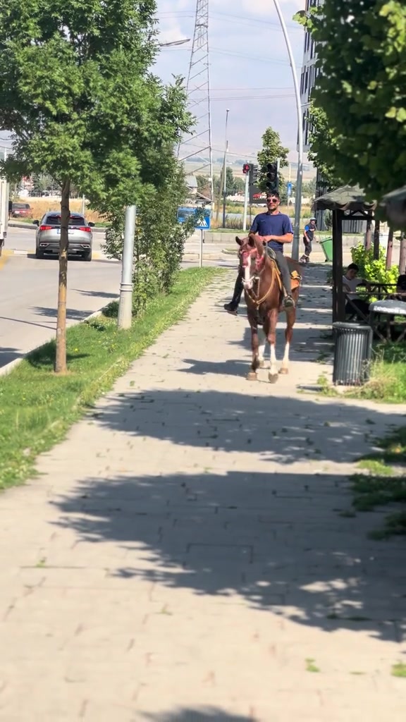 @emircan Öğcü