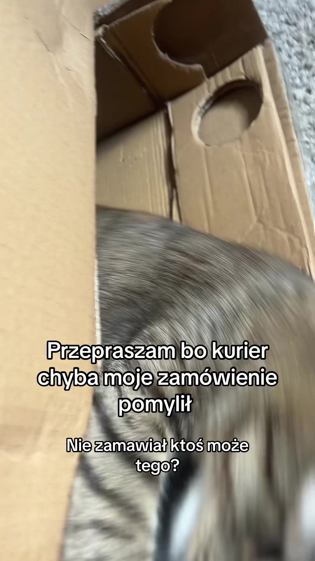 @𝚃𝚘𝚜𝚒𝚊