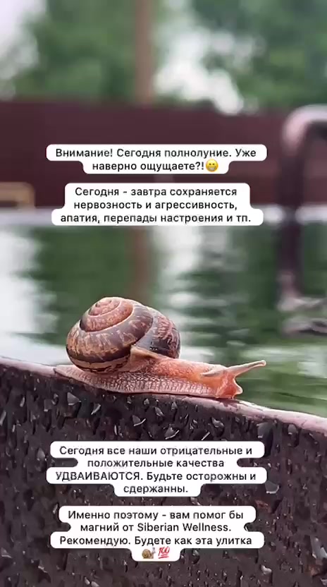 @olesya_siberian_wellness❄️