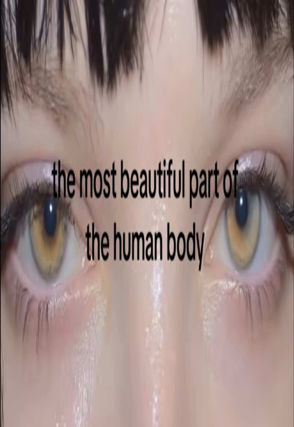 @ִֶָ. ..𓂃 ࣪ ִֶָ🦇་༘࿐