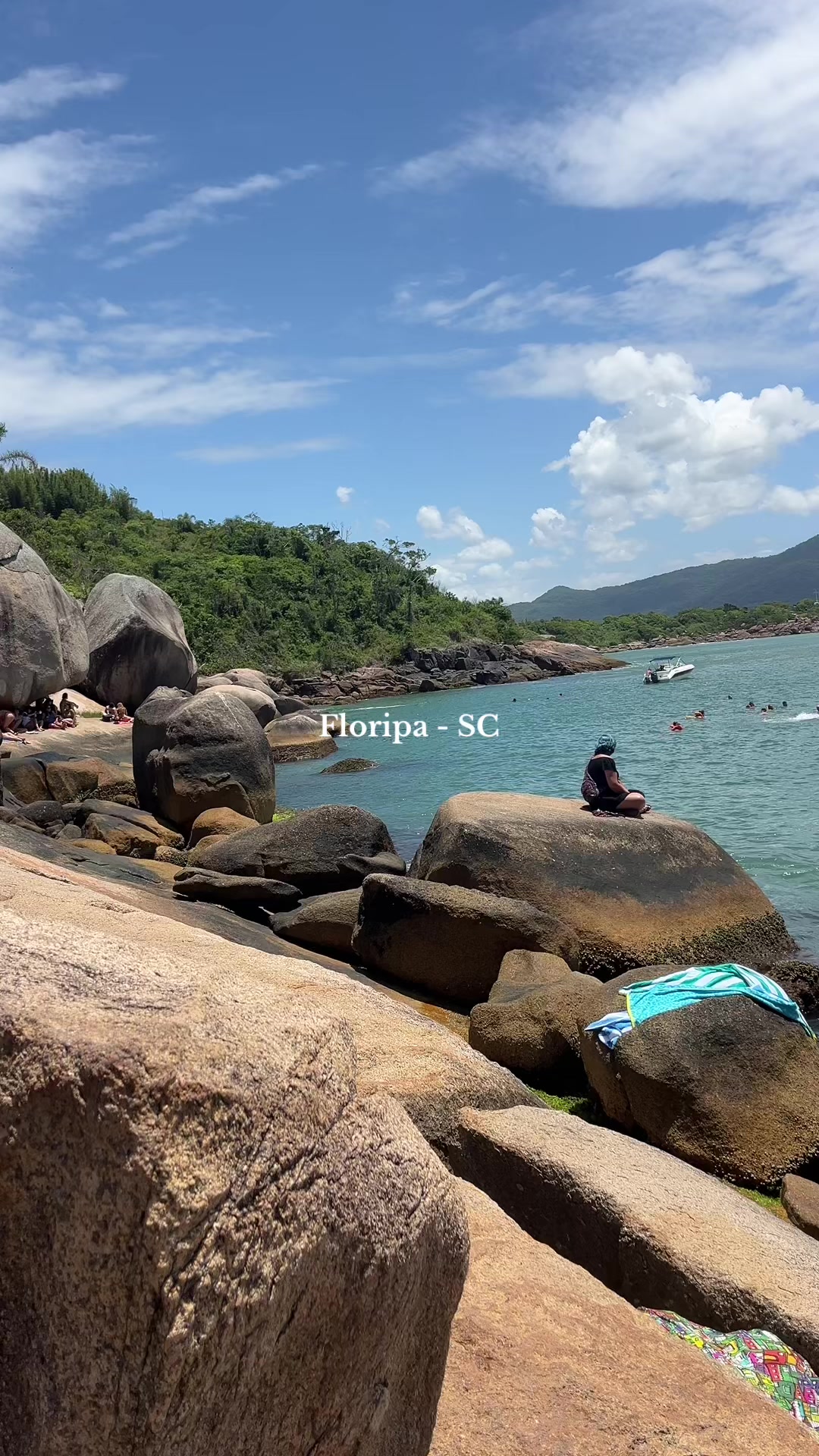 @joyce abreu 🐚